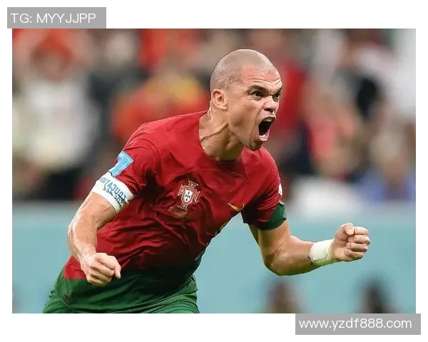 2016年葡萄牙与瑞士精彩对决回顾与分析