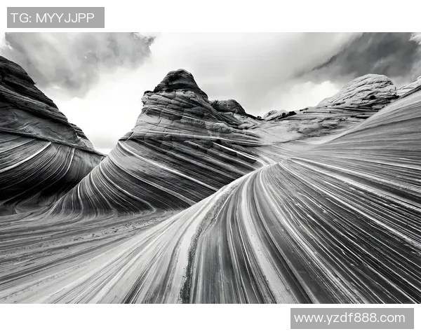 亚当斯的传奇人生与影响力探讨:从个人成就到社会变革的深远影响 亚当斯的传奇人生与影响力探讨:从个人成就到社会变革的深远影响